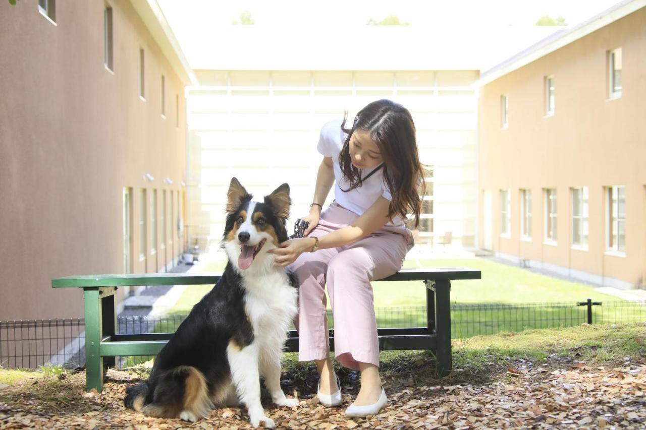 Yutorelo Tateshina Hotel With Dogs ชิโนะ ภายนอก รูปภาพ