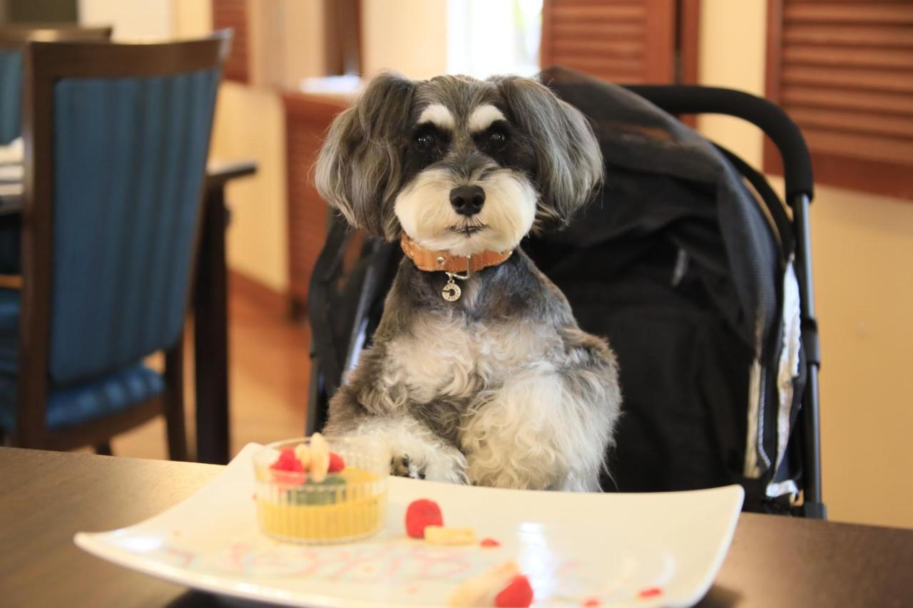 Yutorelo Tateshina Hotel With Dogs ชิโนะ ภายนอก รูปภาพ